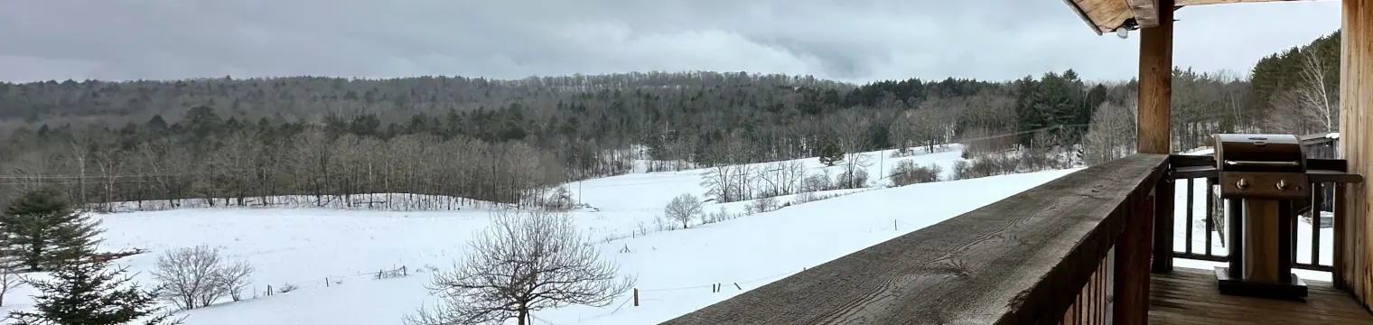 View of he snowy forest at Bethel, Vermont, from the deck of a vacation rental house.